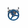 Flanged Globe Valve