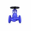 Bellows Globe Valve