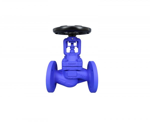 Bellows Globe Valve