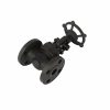 Forged Steel Globe Valve