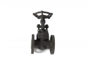 Forged Steel Globe Valve