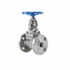 Forged Steel Globe Valve