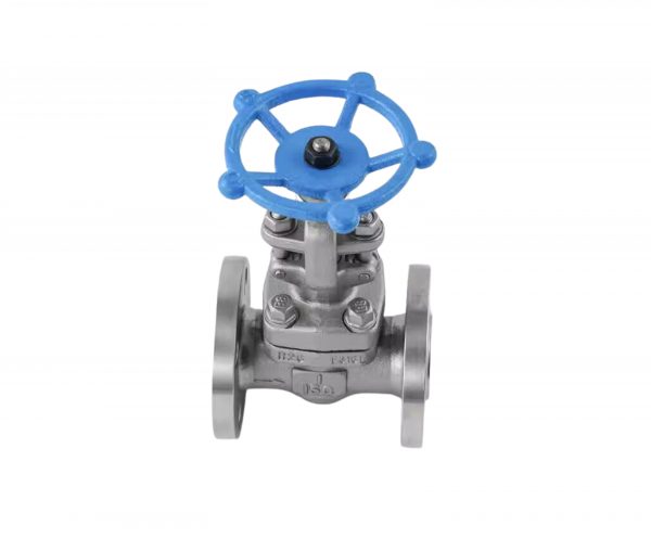 Forged Steel Globe Valve