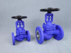 Bellows Globe Valve