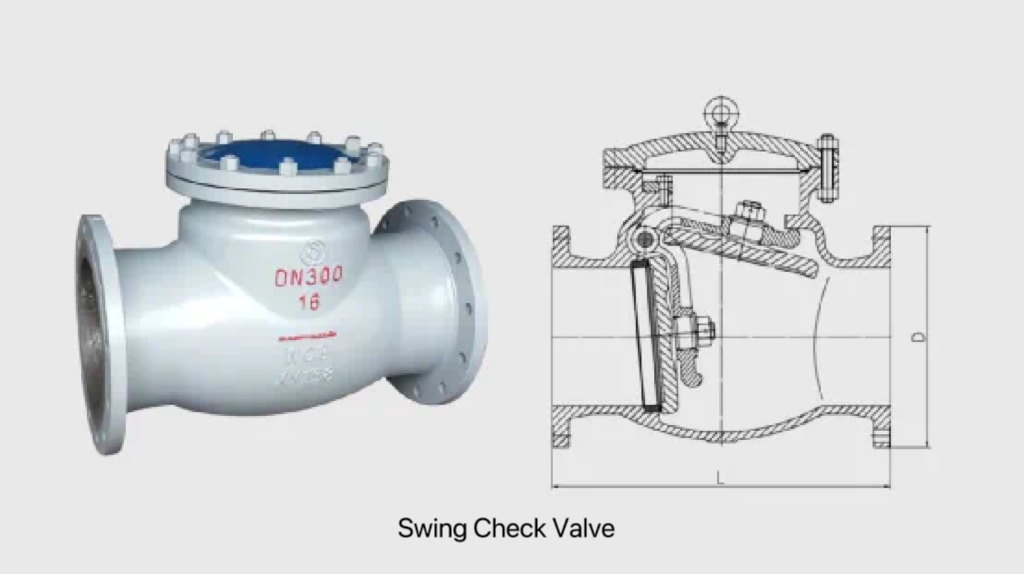 Check valve