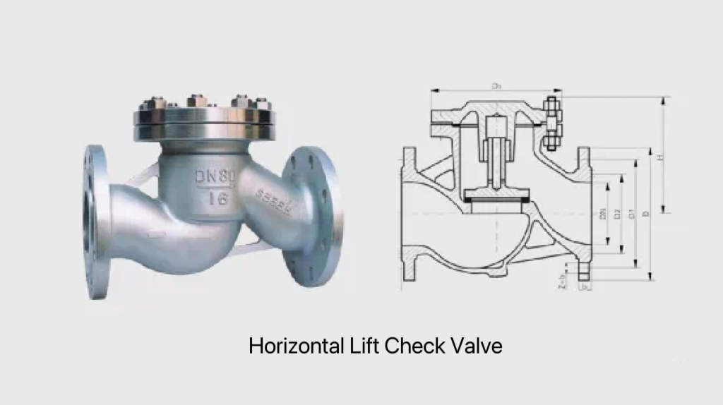 Check valve