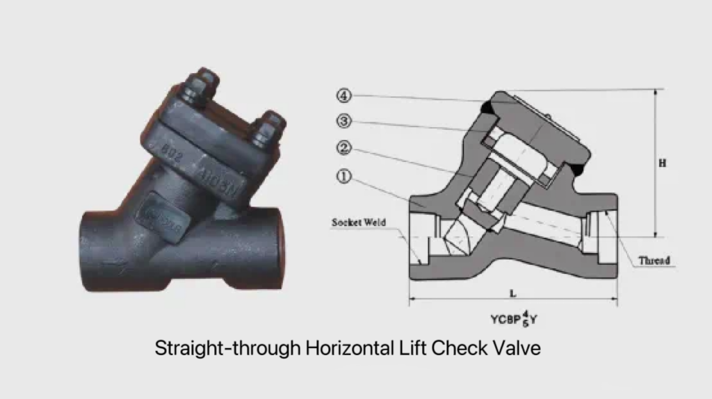 Check valve