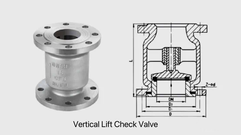 Check valve