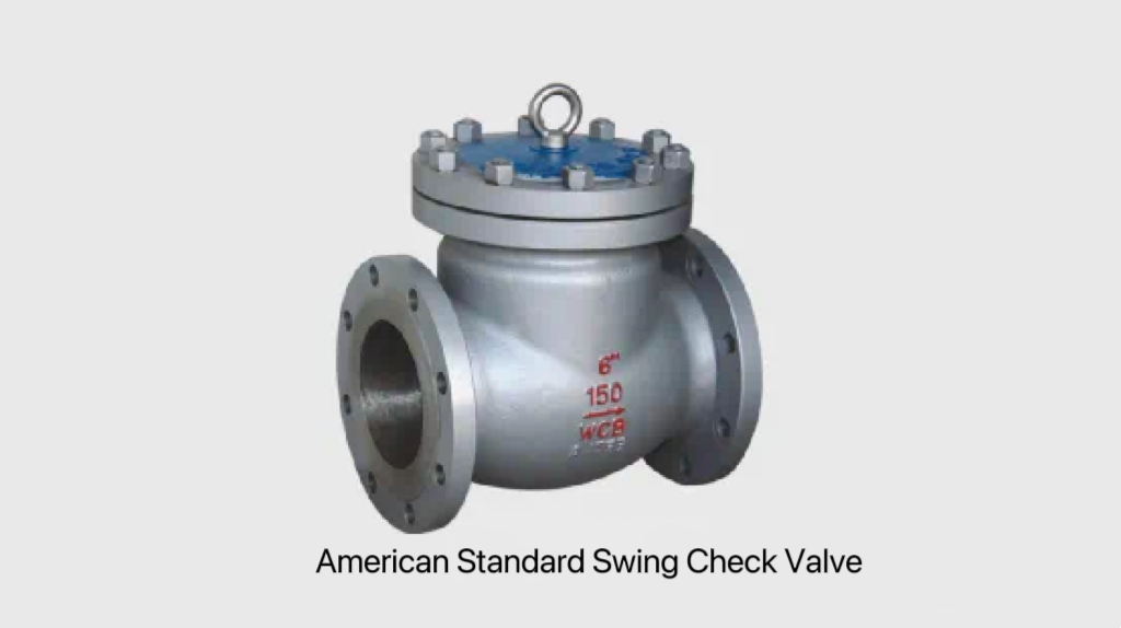 Check valve