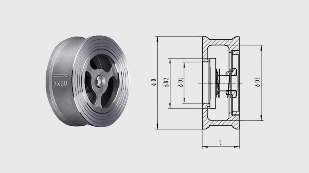 Check Valve