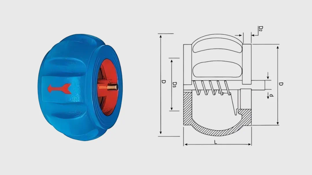 Check Valve