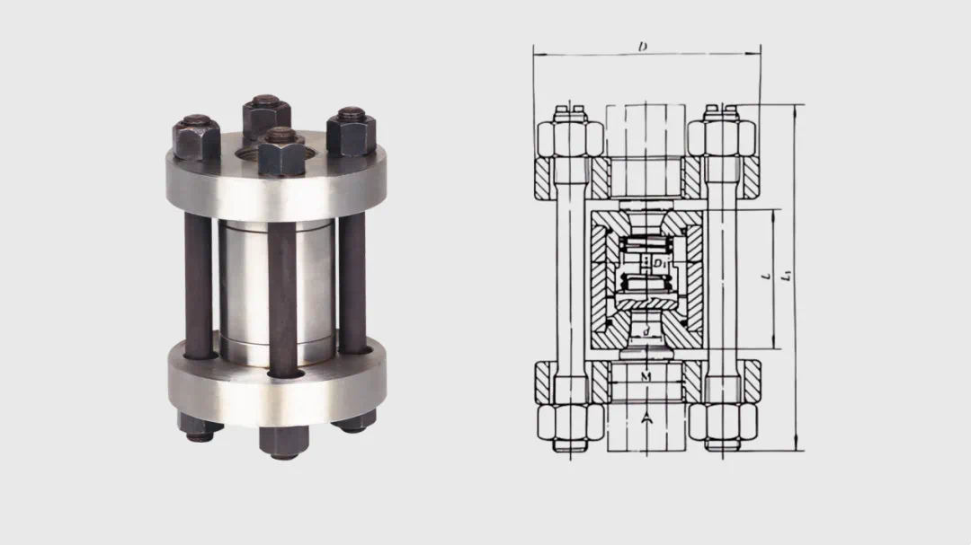 Check Valve