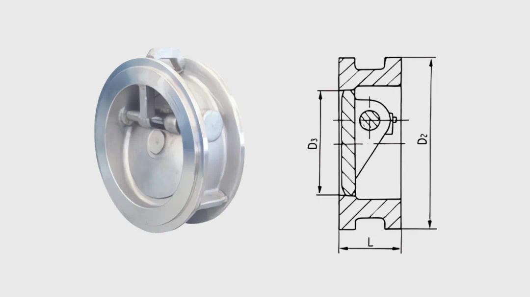 Check Valve